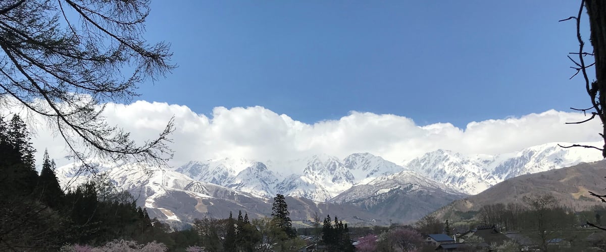 ๆกๆบ้้ใใฆใพใใ