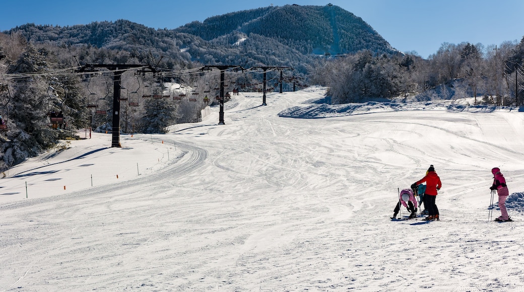 Hakuba