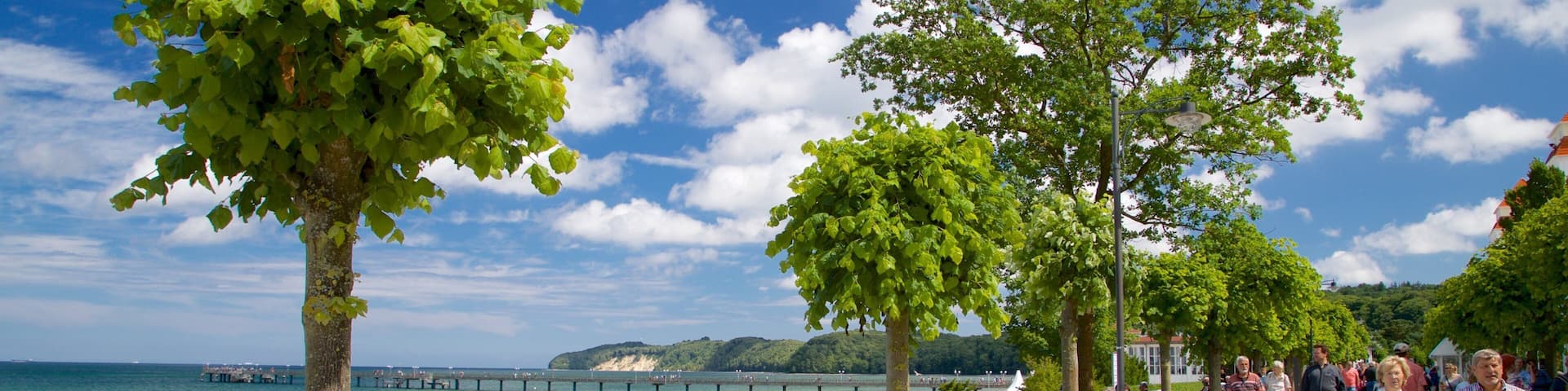 Ostseebad Binz welches beinhaltet allgemeine KĂŒstenansicht und StraĂenszenen sowie kleine Menschengruppe