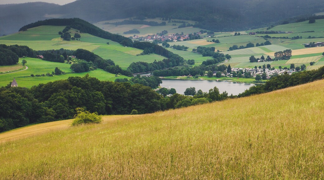 View down to the Diemelsee.