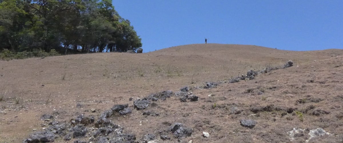 A dry hill with sparse vegetation and a few scattered rocks.