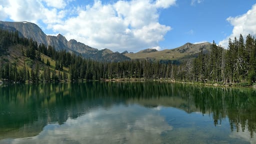 Easy drive and hike.