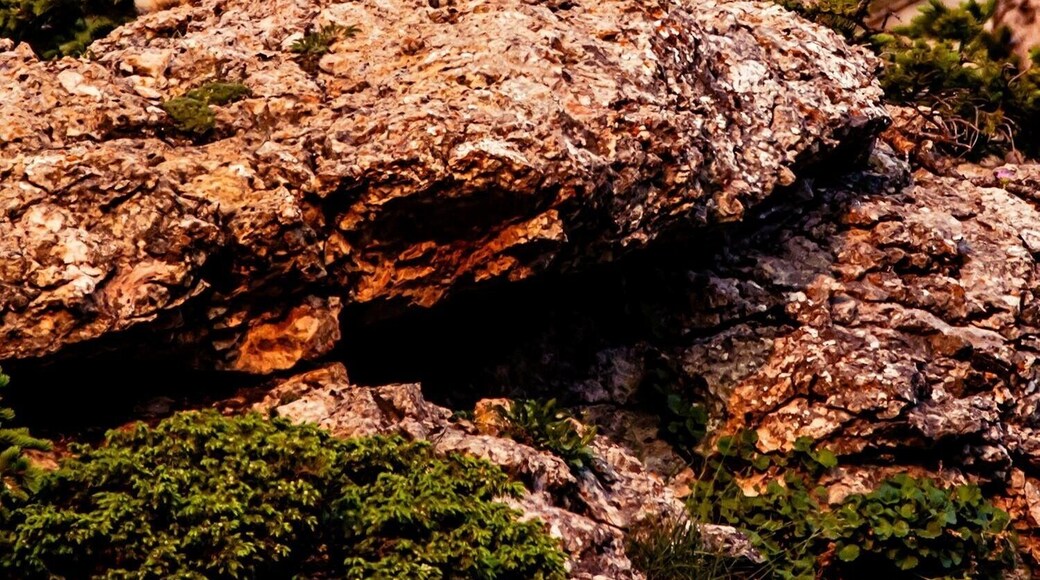 Bathing in the morning light.
#wildlife.