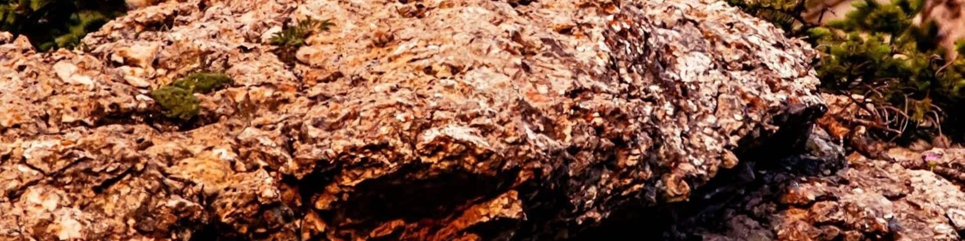 Bathing in the morning light.
#wildlife.