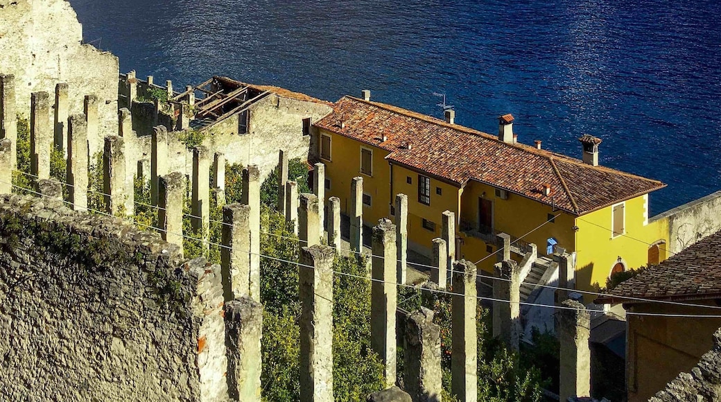 Old Limonaia (lemon plantation) at Limone sul Garda, Italy 🍋