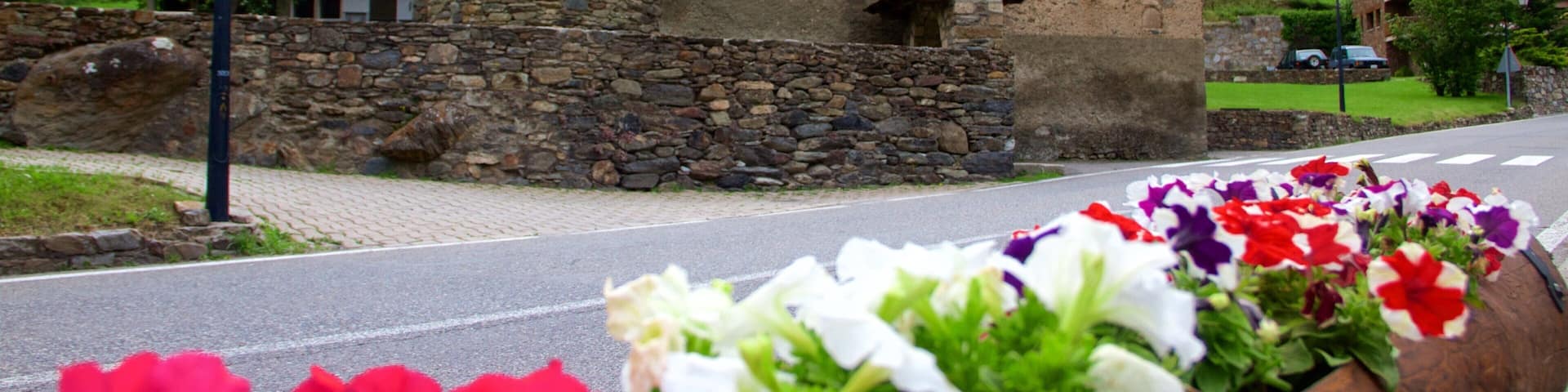 La Cortinada showing a house, heritage architecture and flowers