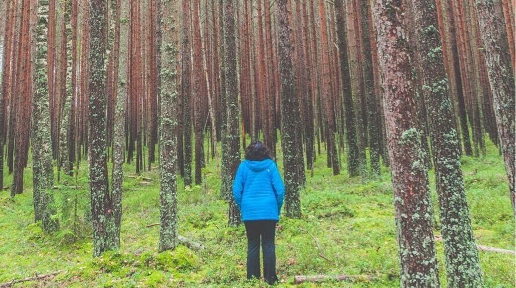 When the Baltic woodlands take your breath away
#nationalpark #latvia #kemeri #baltic