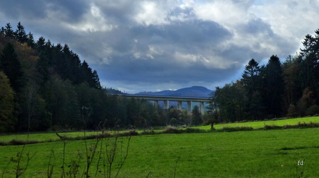 Kolwederbachtal (auch Kohlwederbachtal) mit Blick zur BrĂŒcke der A 46 (TalbrĂŒcke Kohlweder Bach) westnordwestlich von Eversberg, Bereich im LSG âMeschede (TeilflĂ€che 1)â â Anmerkung: Das Naturschutzgebiet âKolweder Bachtalâ befindet sich ĂŒber 1 km weiter talaufwĂ€rts (im RĂŒcken des Fotografen)