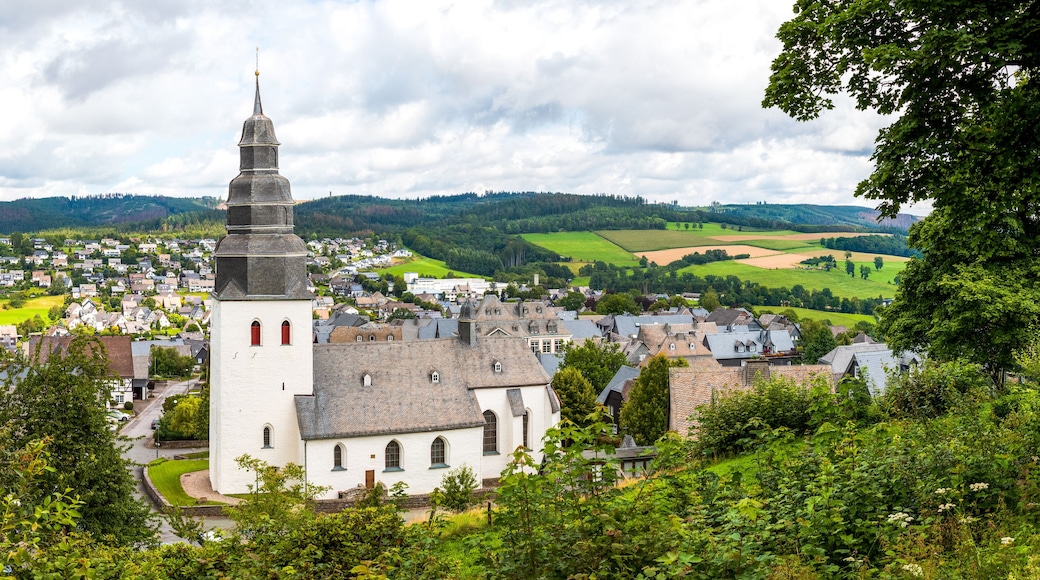 Une ville où se dresse une église remarquable, reconnaissable à son clocher élancé, et qui est entourée d’une végétation luxuriante et de collines ondoyantes.
