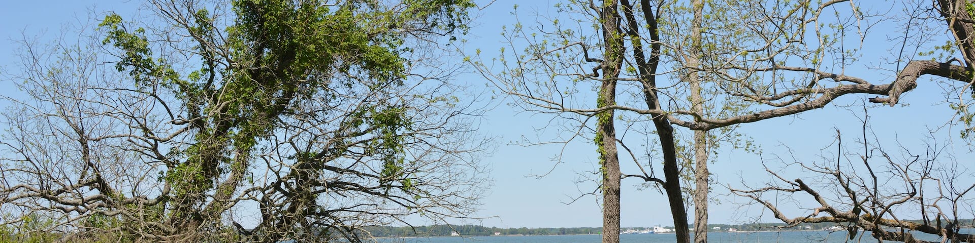 Hiking trail through a field leading to a Chesapeake Bay Beach at Dameron Marsh Natural Preseve.