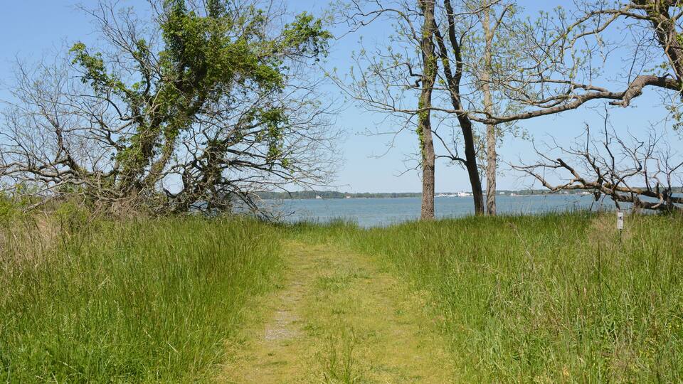 Hiking trail through a field leading to a Chesapeake Bay Beach at Dameron Marsh Natural Preseve.