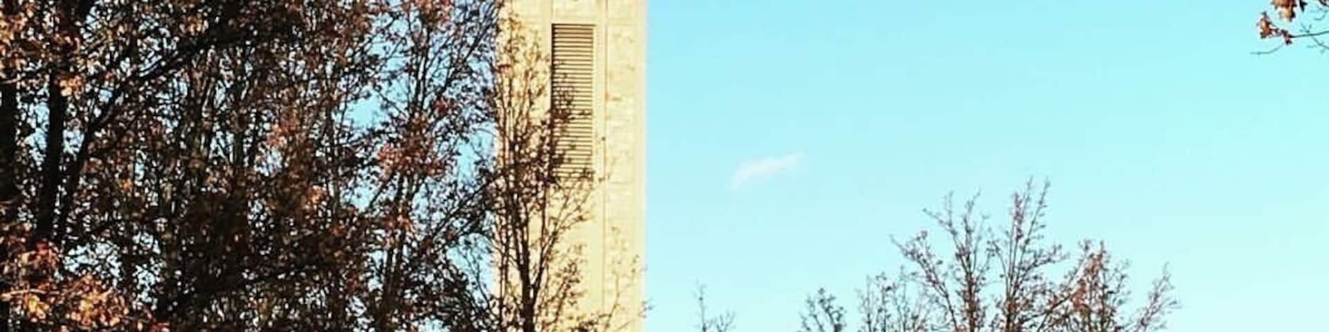 A walk to the grotto weeks ago.