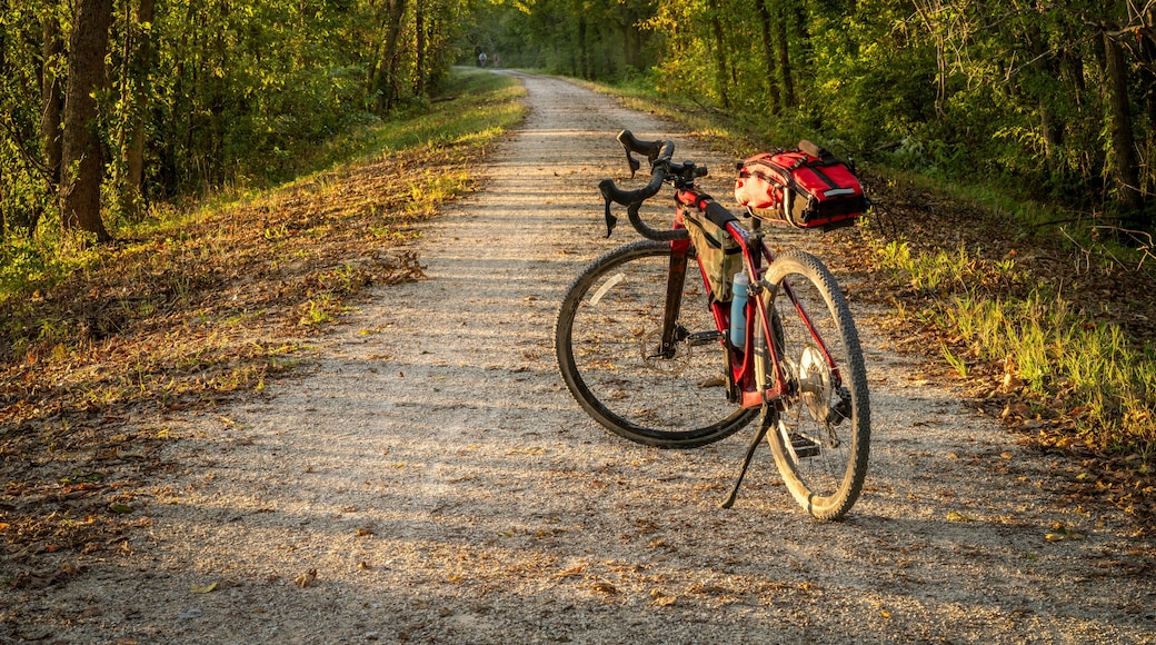 gravel touring bike on Katy Trail near Marthasville, Missouri, in fall scenery