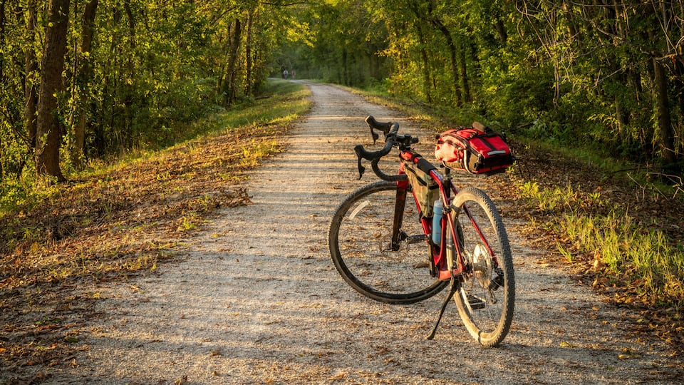 A mountain bike parked on a dirt path surrounded by trees.
