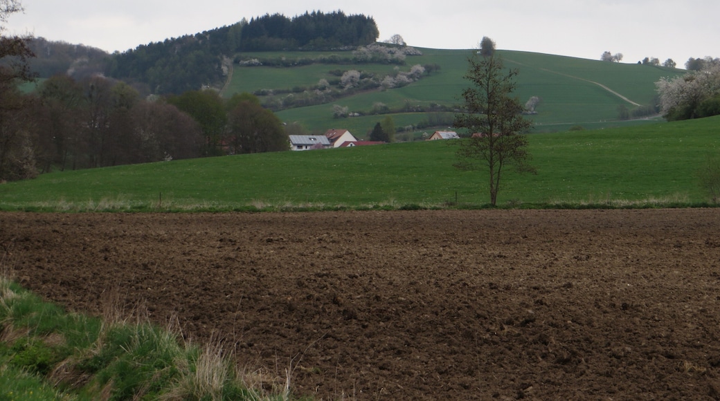 Blick von Dörmbach nordnordostwärts zum Schnegelsberg bei Finkenhain. Milseburger Kuppenrhön, Landkreis Fulda