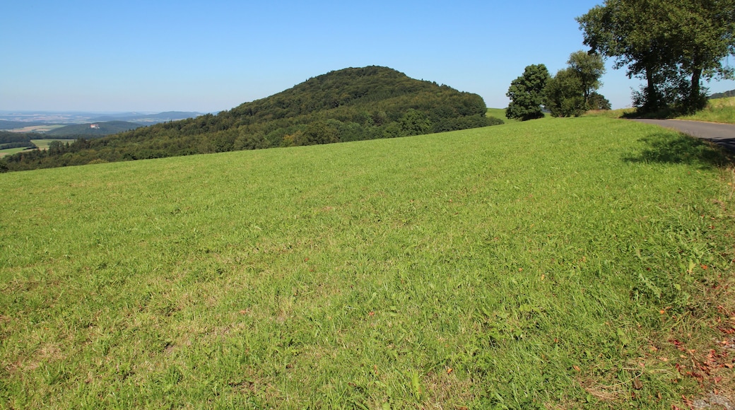 Blick vom Fußweg Maulkuppe-Steinwand nordwärts zum Stellberg. Milseburger Kuppenrhön, Kreis Fulda