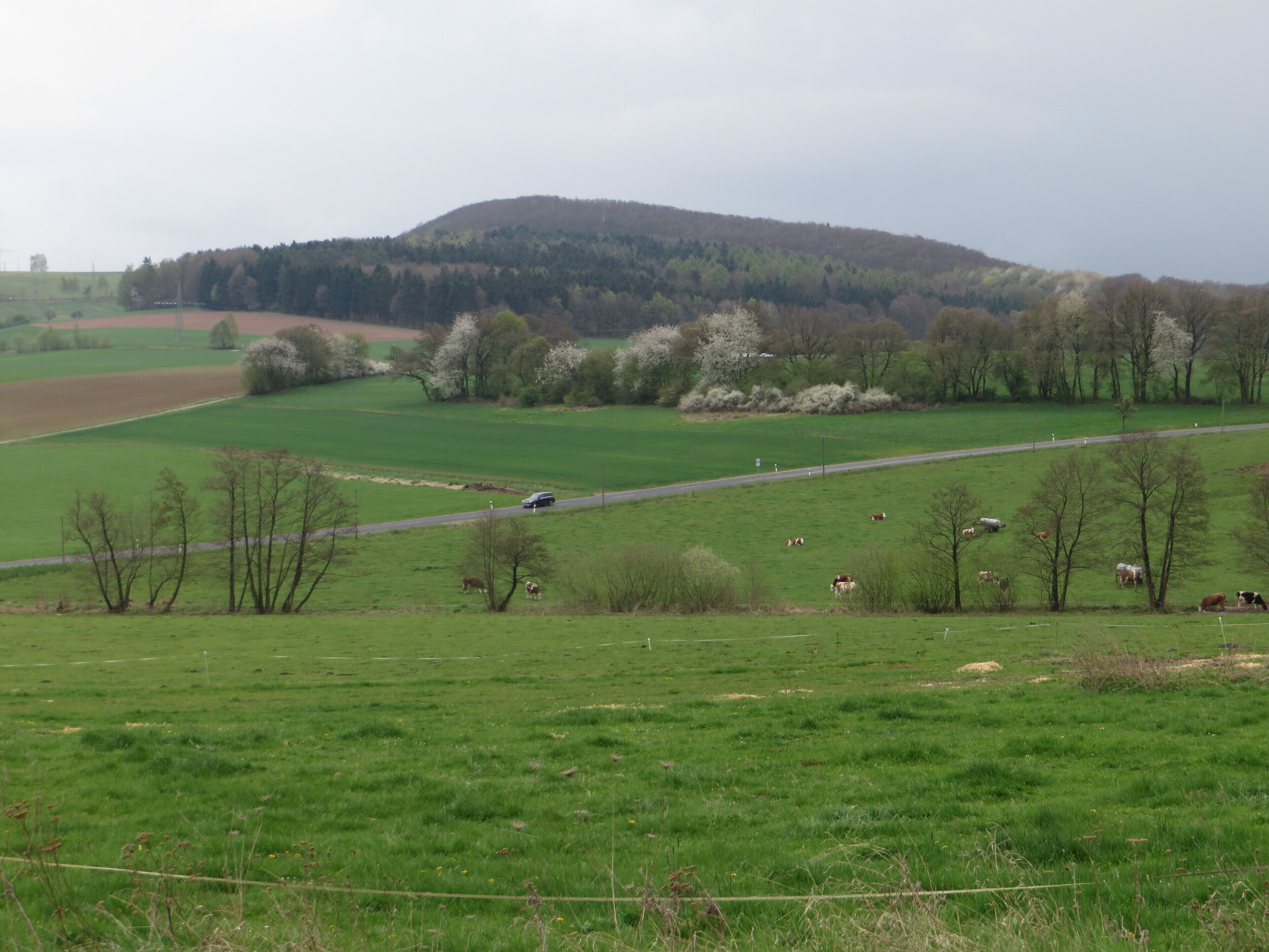 Blick von der Rhön Residence südostwärts zum Giebelrain und der vorgelagerten Erhebung namens Sand. Milseburger Kuppenrhön, Landkreis Fulda