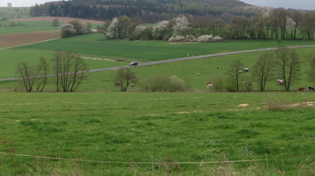 Blick von der Rhön Residence südostwärts zum Giebelrain und der vorgelagerten Erhebung namens Sand. Milseburger Kuppenrhön, Landkreis Fulda