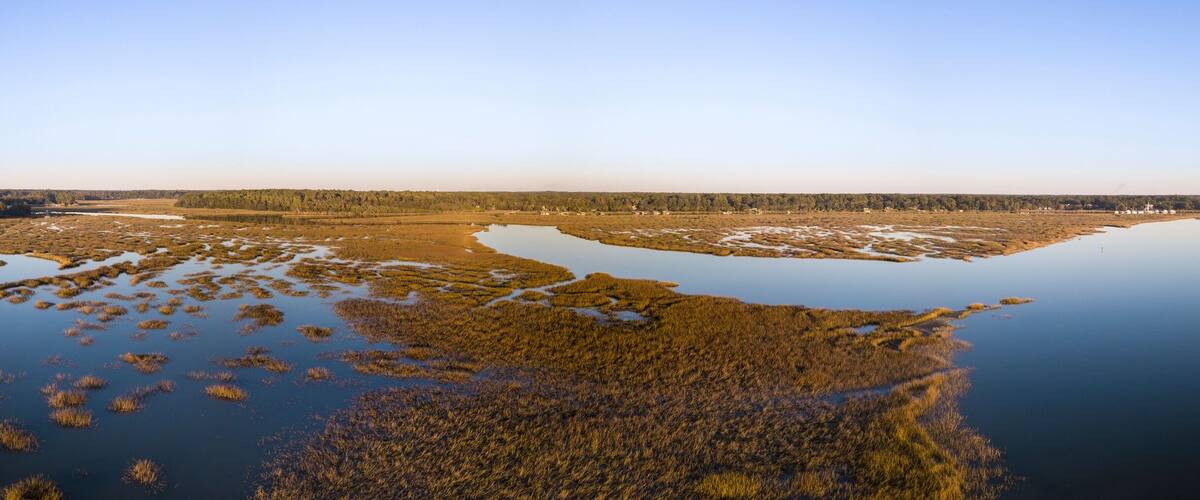A coastal wetland with water channels and dense vegetation.