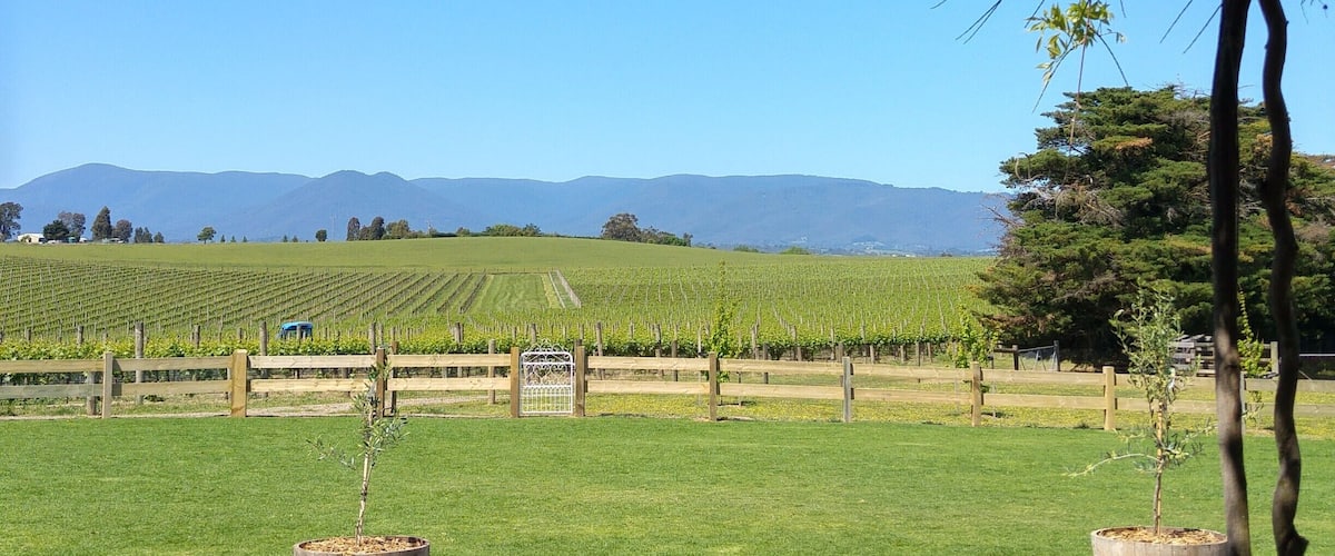 Zonzo restaurant has a wall of floor to ceiling windows resulting in a view for everyone. If that is not enough and the weather is beautiful you can choose to immerse yourself even more in the beauty by dining outside. This is my preferred option – the kids can run and play while I soak up vitamin D, sip a glass of wine /coffee and go to my happy place where blue skies are forever and the lush green of the rolling hills are highlighted by the dusty grey of the mountains, ah take me there now.
#zonzoestate #yarravalley #foodandwine #weddings #melbourne #australia #green