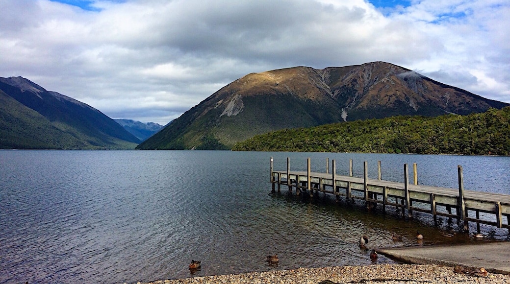 A Kiwi friend recommended this spot, and I'm glad he did. One of the unique things you can do is stand on the dock and watch the eels writhing around in the lake. Creepy, but interesting!