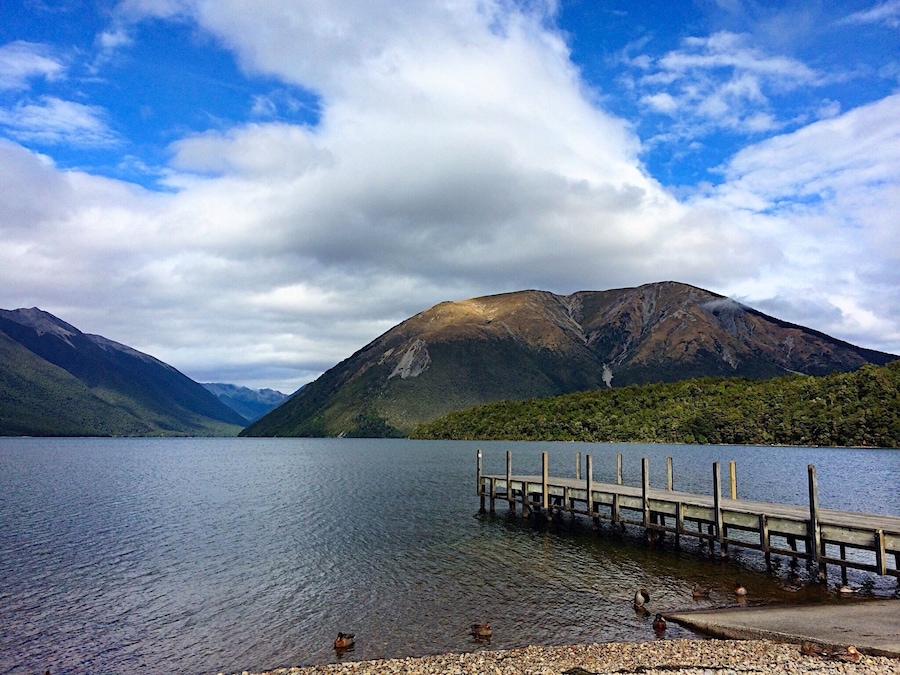 A Kiwi friend recommended this spot, and I'm glad he did.  One of the unique things you can do is stand on the dock and watch the eels writhing around in the lake. Creepy, but interesting!
