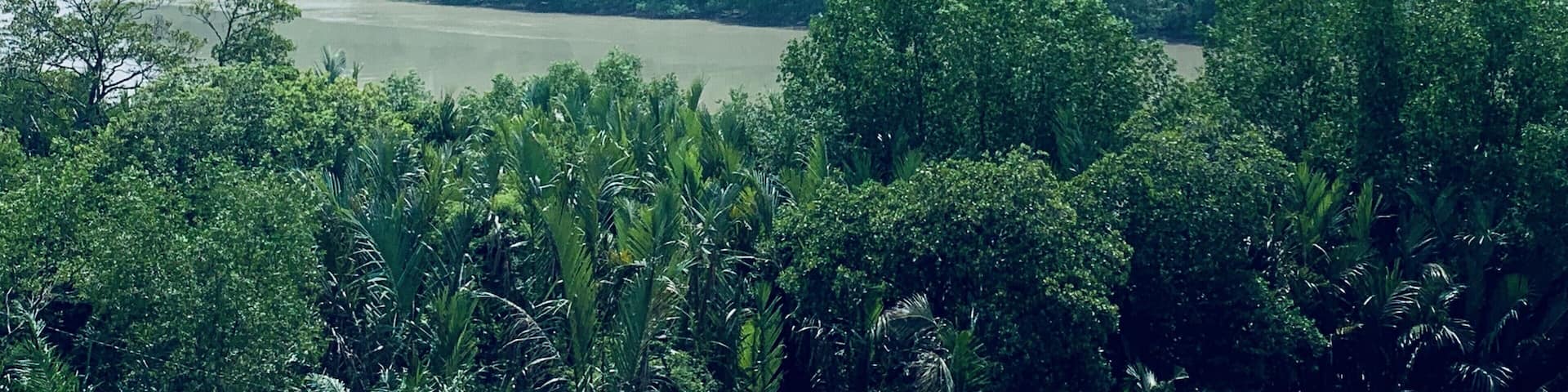 #lifeatexpedia Enjoy a relaxing afternoon drink at the top floor of Apps hotel overlooking the Selangor river.
Did you know that? Selangor river is a major river in Selangor, Malaysia. It runs from Kuala Kubu Bharu in the east and empties into the Straits of Malacca at Kuala Selangor in the west.