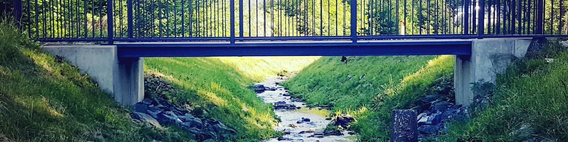 A bridge over a stream with grass on either side and trees in the background.