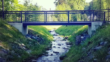 Milmesbach (naturnah) unterhalb des Hammerteiches