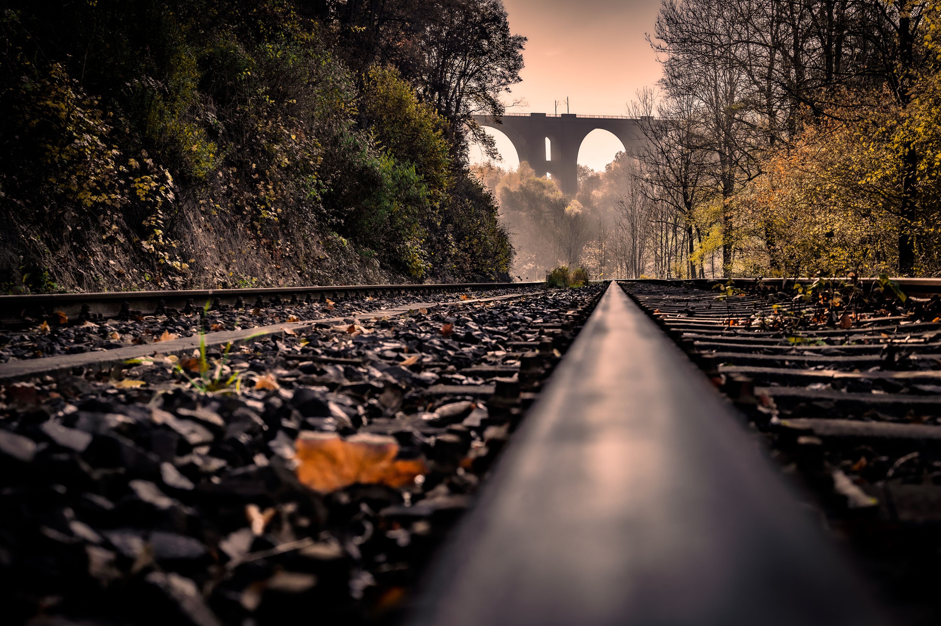 Autumnal view of the Elstertal bridge (German: Elstertalbrücke), a railway bridge near Plauen (Saxony, Germany), built in 1851, today the second largest brick bridge in the world.