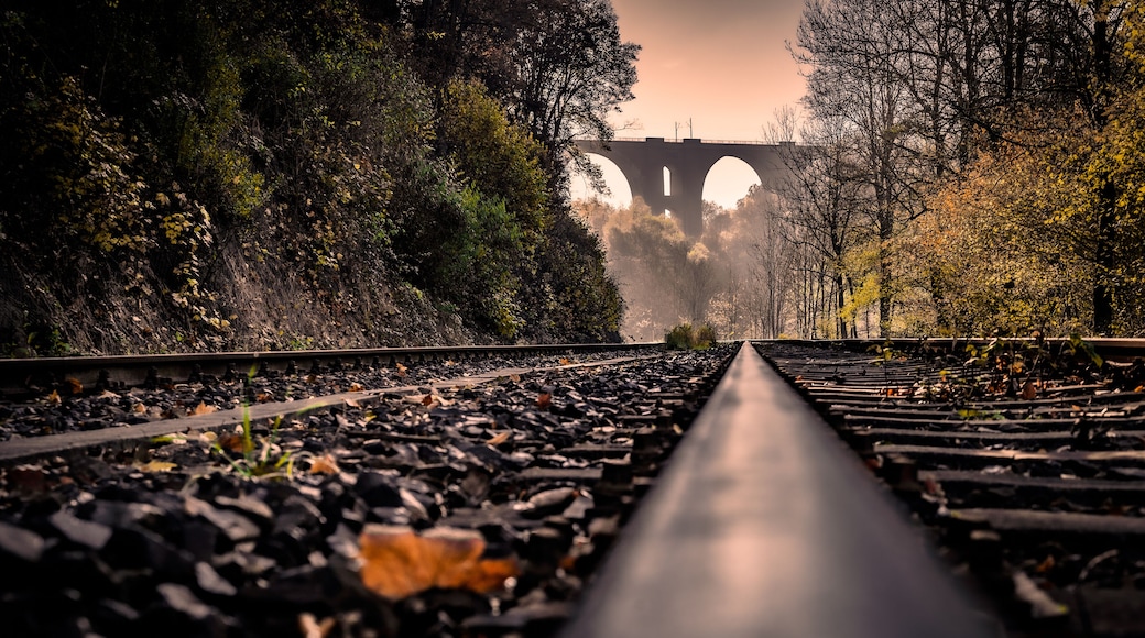 Autumnal view of the Elstertal bridge (German: Elstertalbrücke), a railway bridge near Plauen (Saxony, Germany), built in 1851, today the second largest brick bridge in the world.