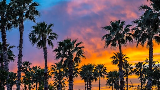 Dramatic vibrant sunset scenery in Donna Victoria Palms RV Resort, Texas