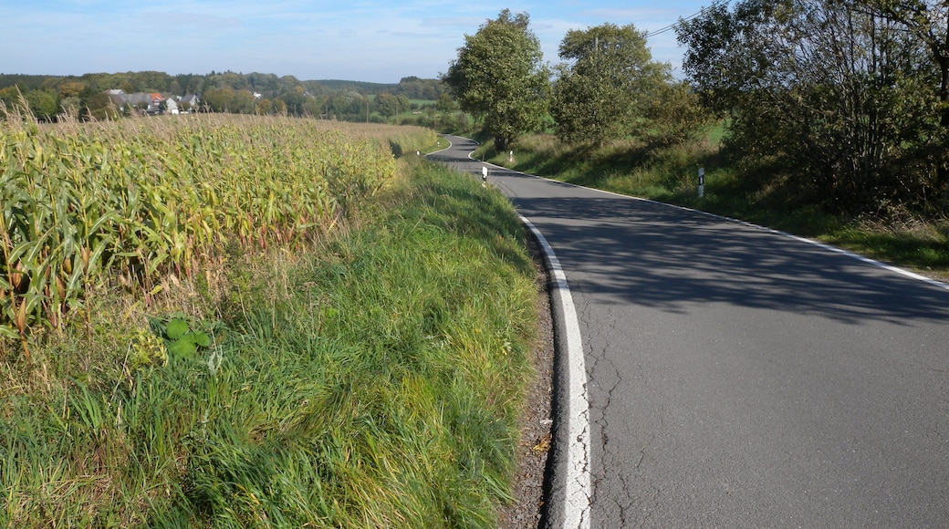 StraĂe (K7) und Maisfeld in Radevormwald, nahe der Ennepetalsperre