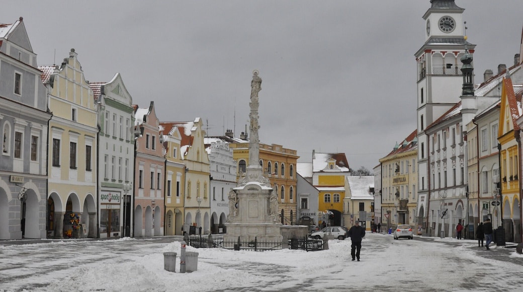 Main Square in Třeboň, South Bohemia
Trebon is a very pleasant town in South Bohemia, only 20 km from České Budějovice. The town is a popular tourist destination and is famous for carp, which are common in the ponds that surround the town.
Definitely more of a summer destination, when you can enjoy the many restaurants and local brewery (Regent),