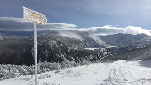 Pathway to the peak - Winter! #WinterWonders #lifeatexpedia