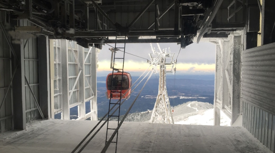 Frozen lift and cable cars moving from the speed of the wind. A window to the world below. Get the cable car all the way to the top to enjoy the view #WinterWonders #lifeatexpedia