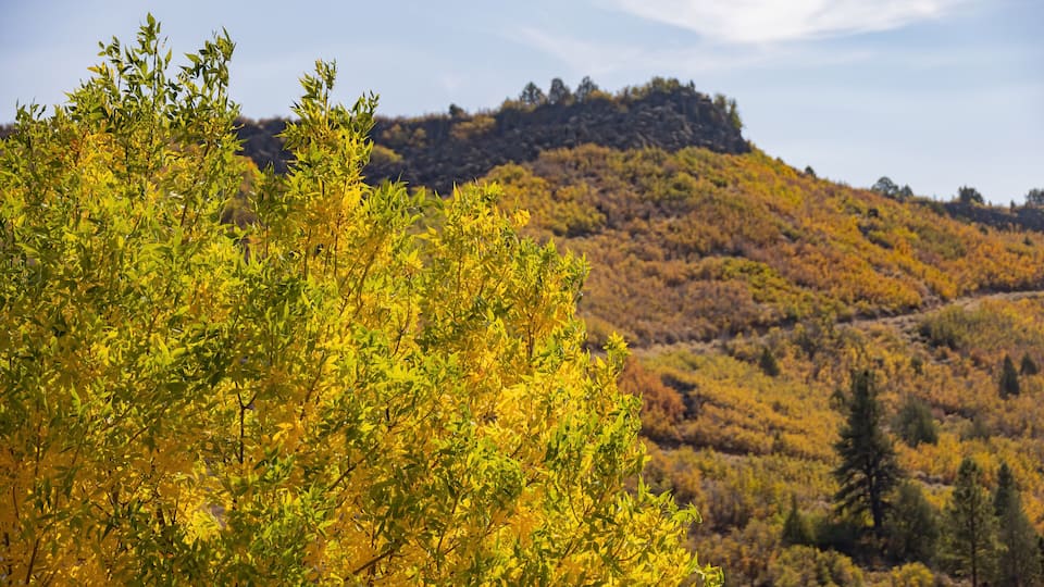 A hillside with autumn foliage, a clear sky, and a distant hill.