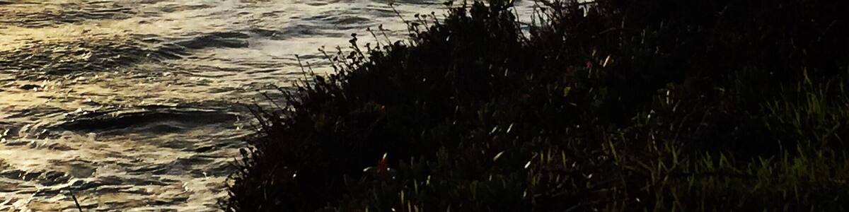 An amazing spot to sit and reflect in California!