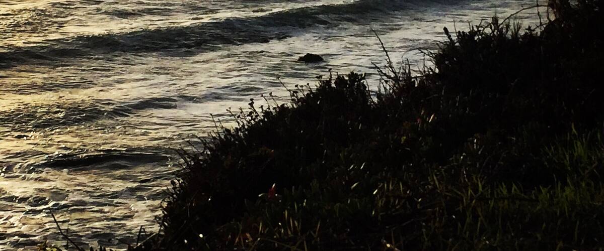 An amazing spot to sit and reflect in California!