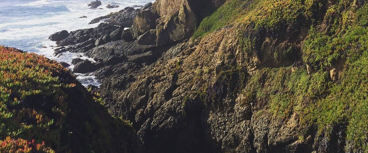 I drove from San Jose through Half Moon Bay, the drive was the best and there're many vista points to enjoy the view. I also spotted couple of dolphins.