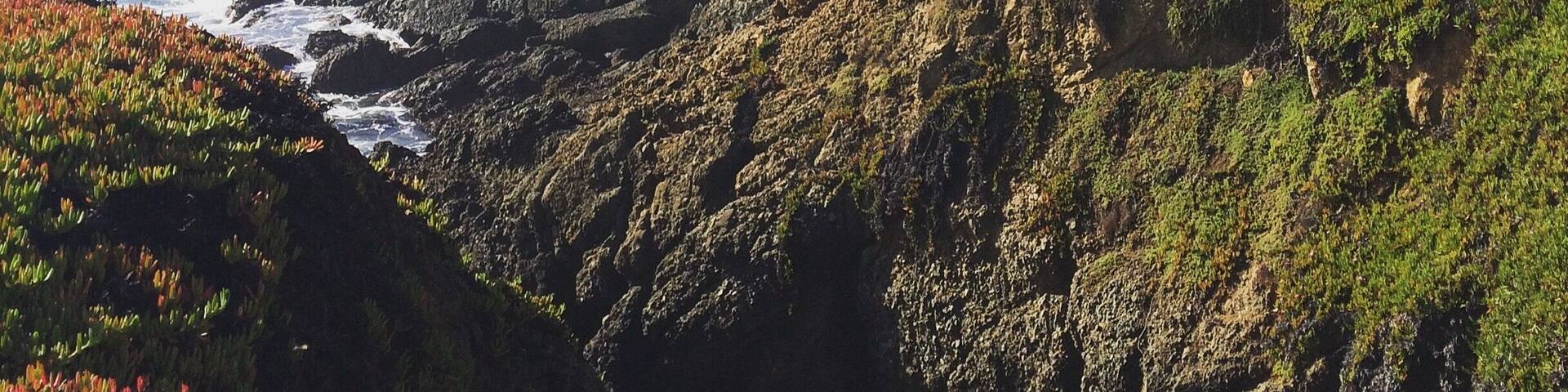 I drove from San Jose through Half Moon Bay, the drive was the best and there're many vista points to enjoy the view. I also spotted couple of dolphins.