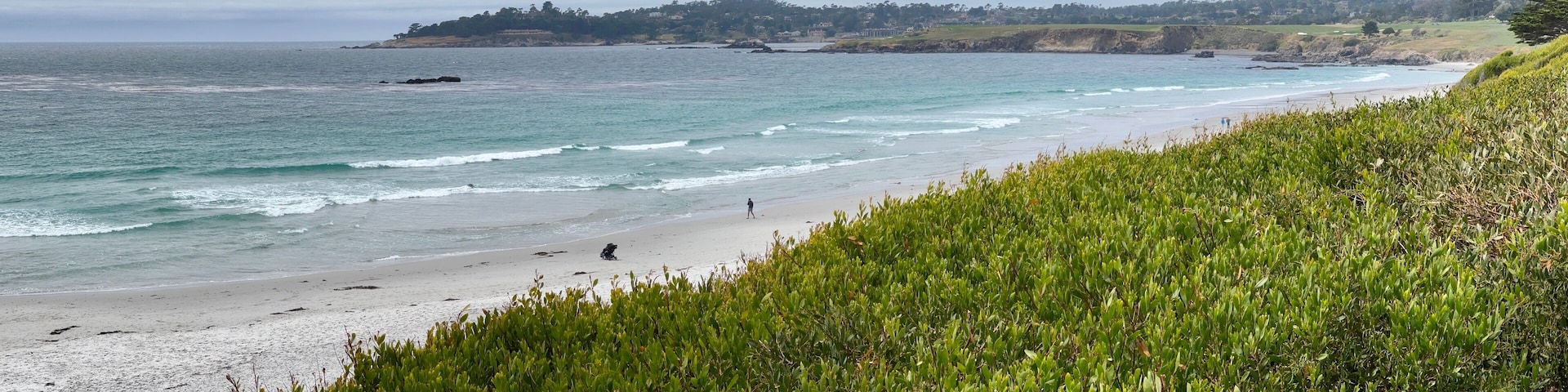 Carmel by the sea
