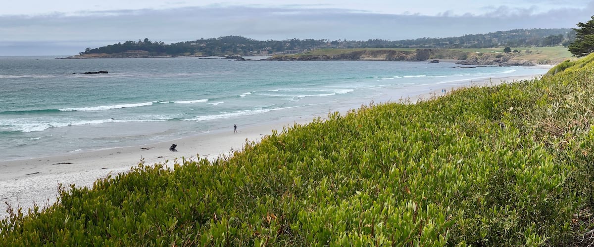 A coastal beach with waves, a sandy shore, and green vegetation.