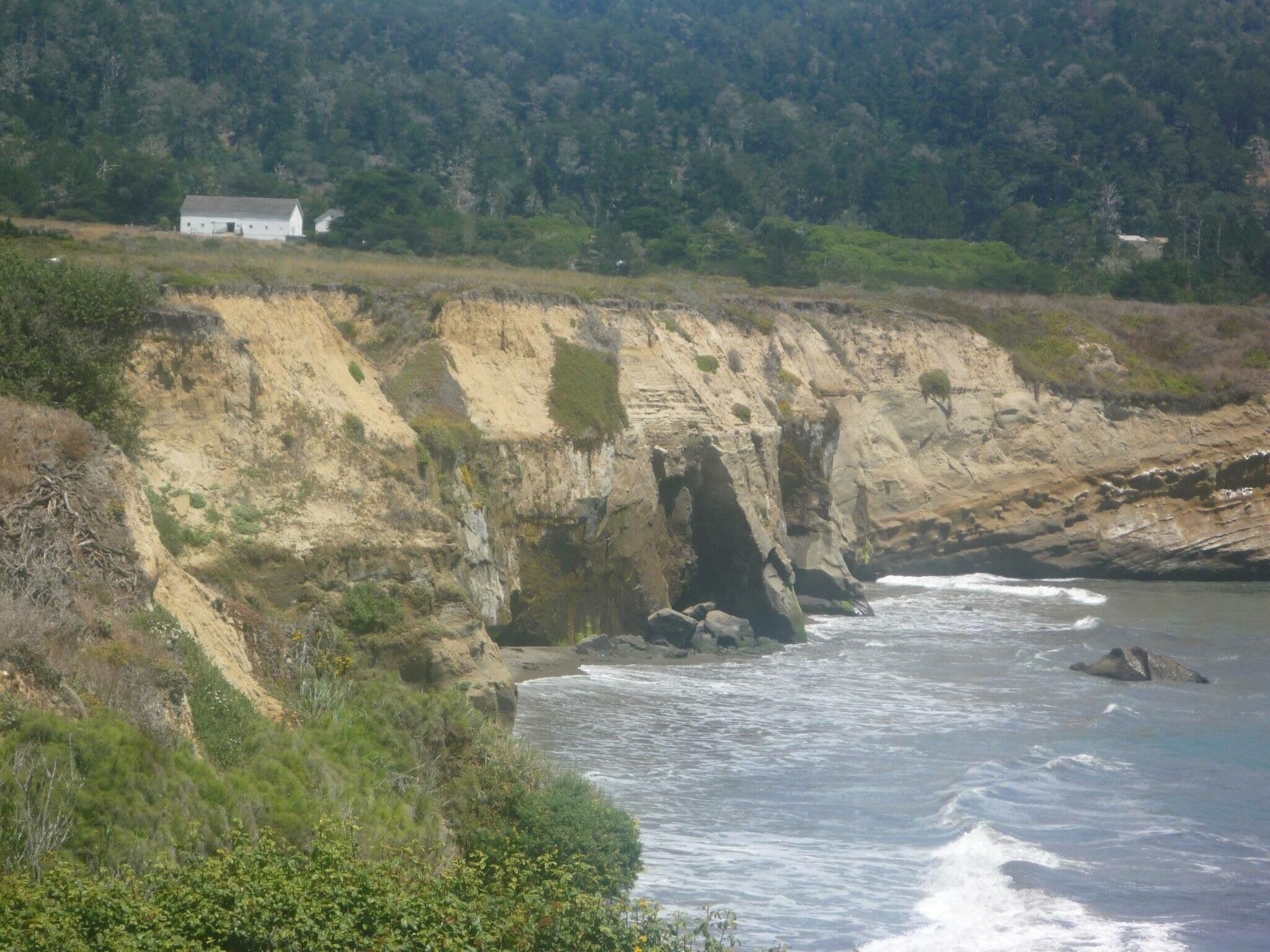 Beautiful gem to view elephant seals