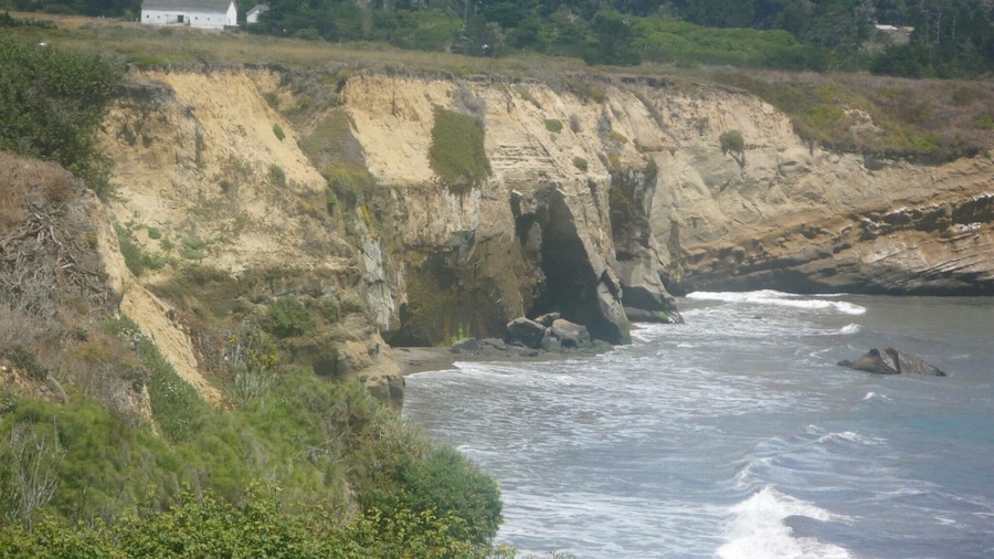 Beautiful gem to view elephant seals
