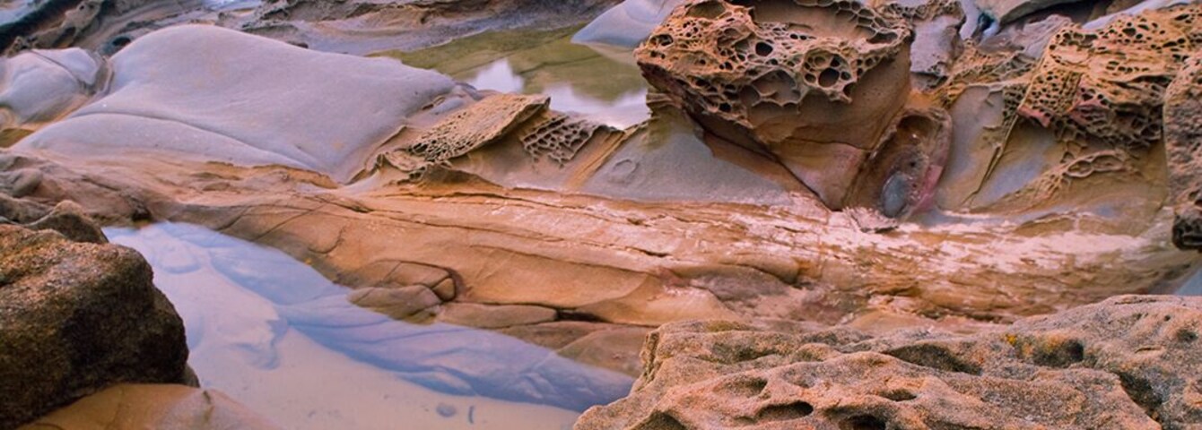 A scene from an Alien movie? Just erosion causing strange surreal landscape at Bean Hollow state beach. #patterns