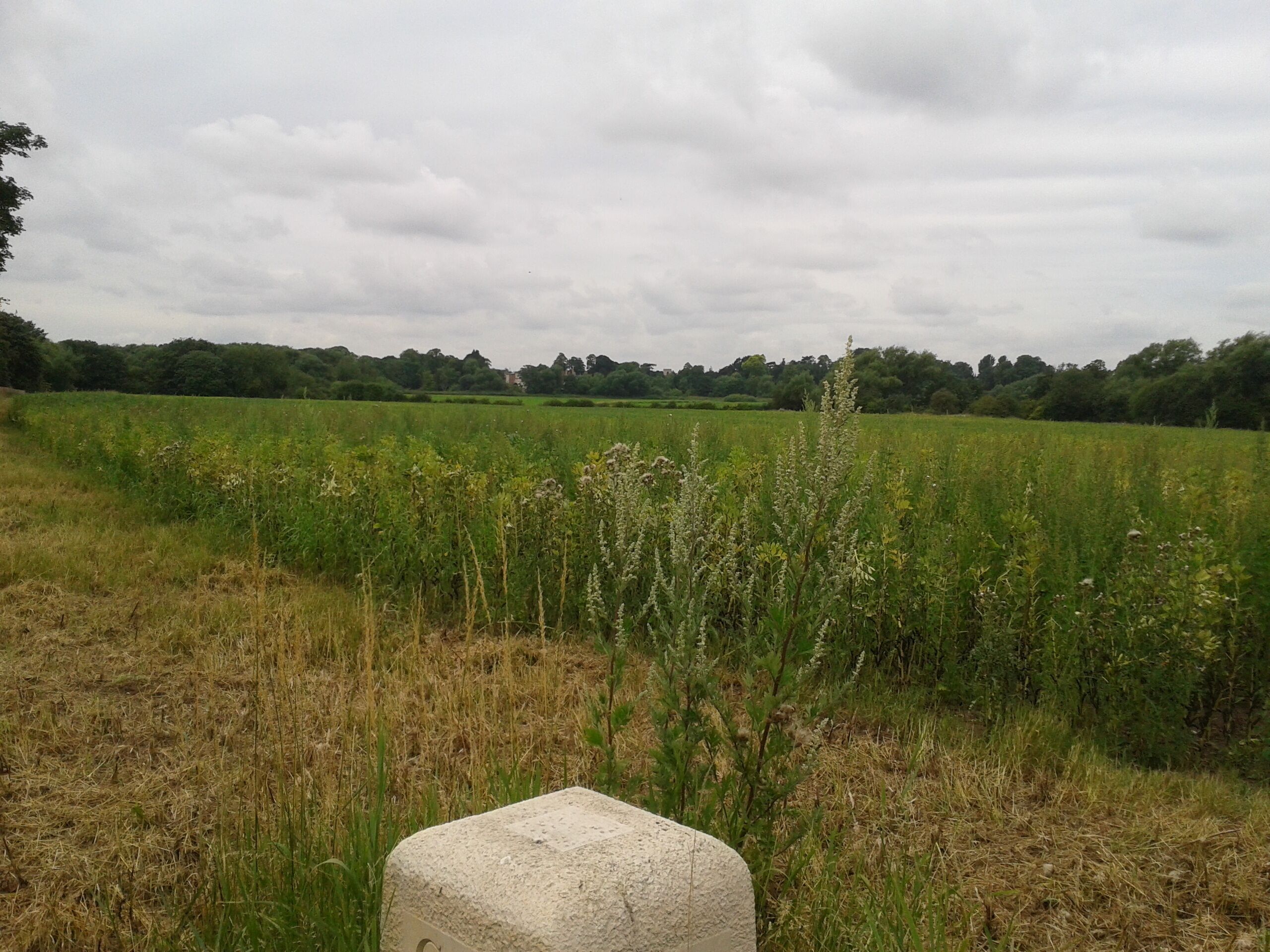 Milestone near Fulford Ings (Bishopthorpe Palace in the background)