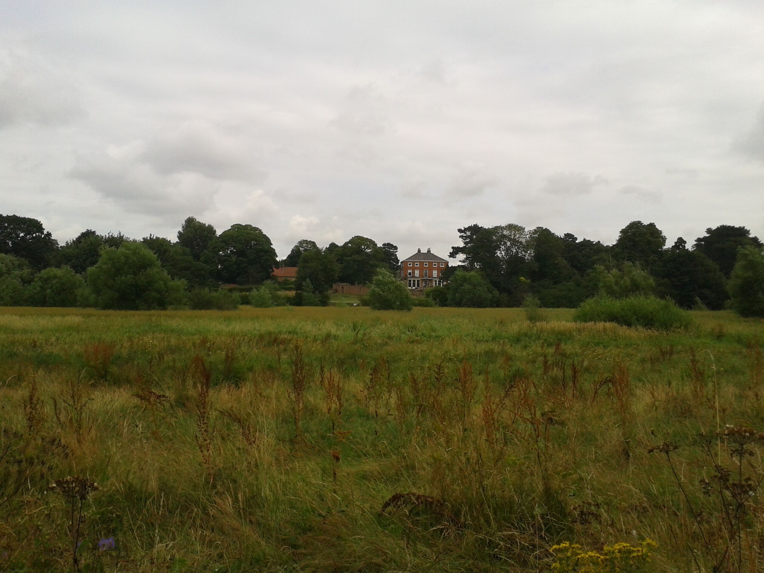 Looking towards Fenwick's Lane, Fulford Ings