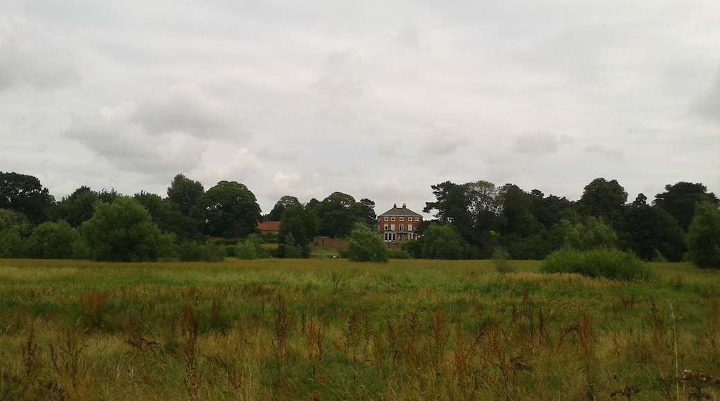 Looking towards Fenwick's Lane, Fulford Ings