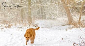 At least Jake enjoyed the snow.